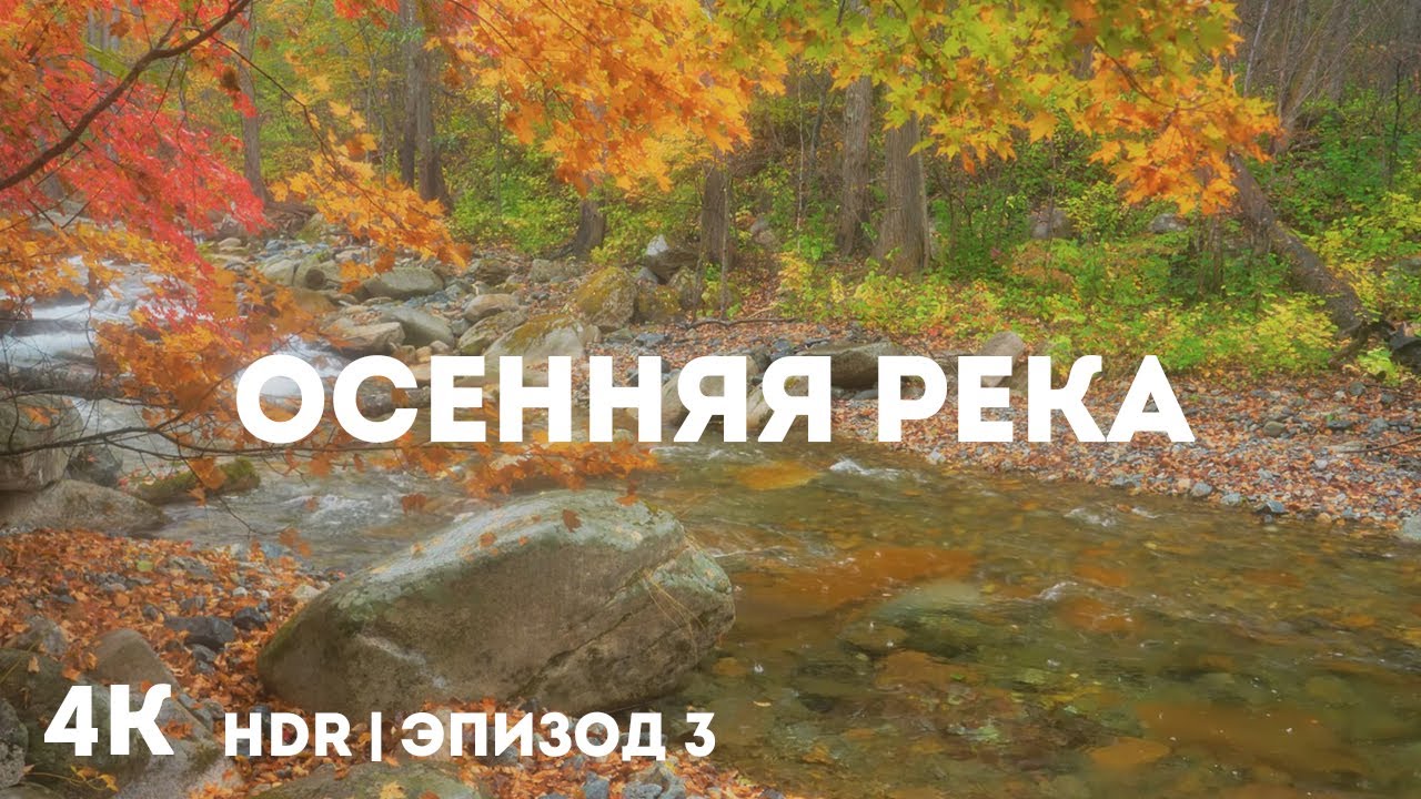 Осенняя природа Приморья в 4K HDR | Яркие краски осеннего леса, горная река и ASMR звуки - Эпизод 3