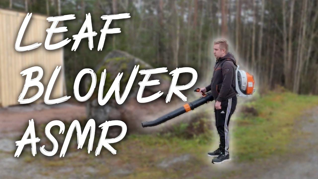 Stihl BR450 C-EF Leaf Blower ASMR