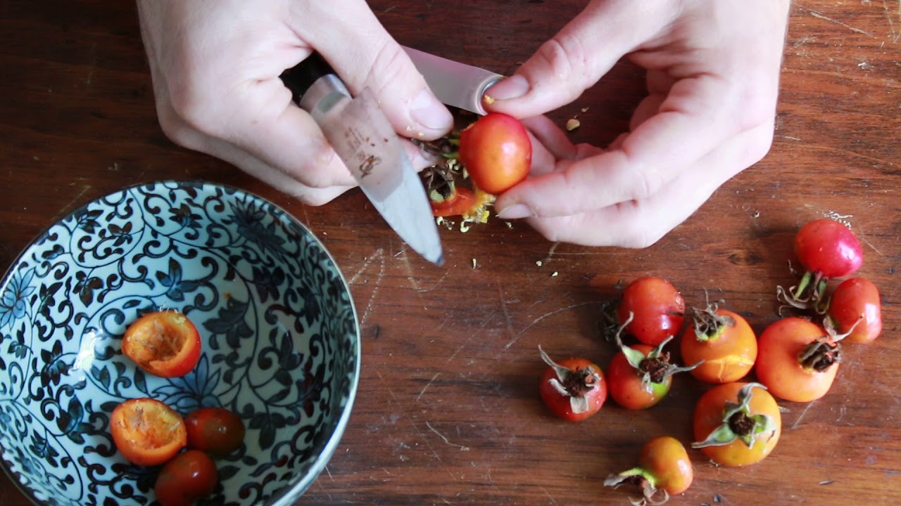 Cleaning rose hips for cooking or jam