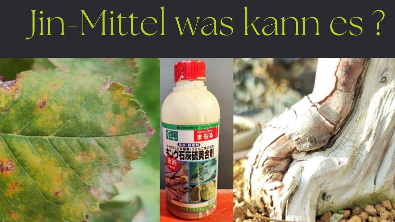 Jin Mittel wozu kann ich es verwenden?