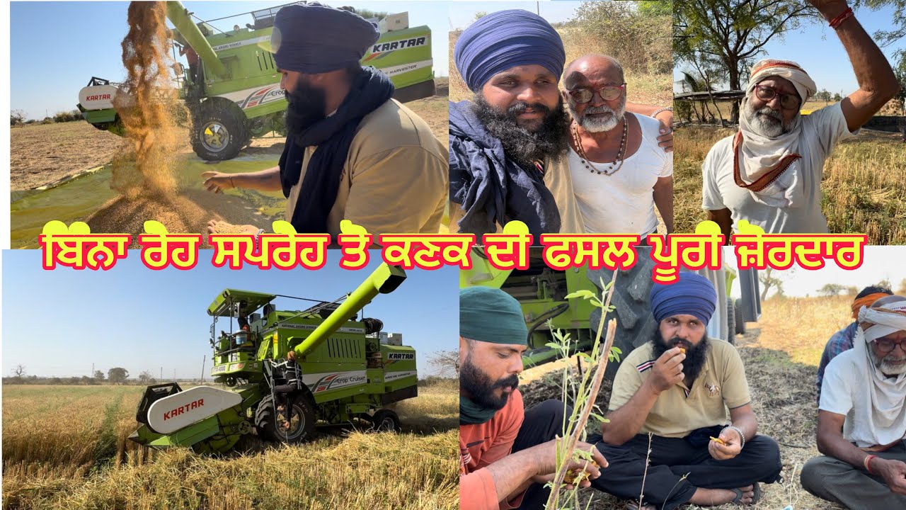 ਦੱਸ ਸਾਲਾਂ ਤੋਂ ਪੰਜ ਕਿੱਲ੍ਹਿਆਂ ਚ ਨਾਂ ਕੋਈ ਯੂਰੀਆ ਨਾ ਕੋਈ ਸਪਰੇਹ ਕੀਤੀ ਫ਼ਸਲ ਦਾ ਝਾੜ ਫੁੱਲ // ਕਣਕ ਵੱਧ ਨਿਕਲ ਤੇ..?
