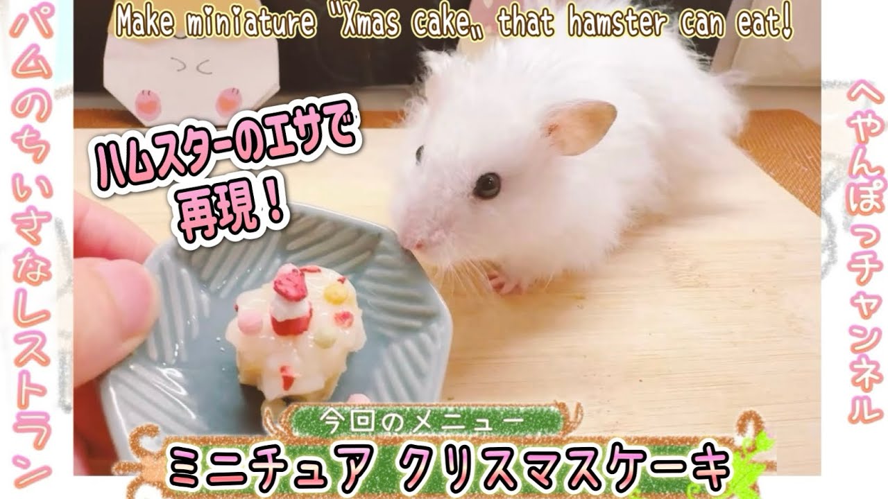 ハムスターにミニチュア「クリスマスケーキ」を作ってあげると可愛すぎた！🎄／hamstar miniature food a Xmas cake パムのちいさなレストラン