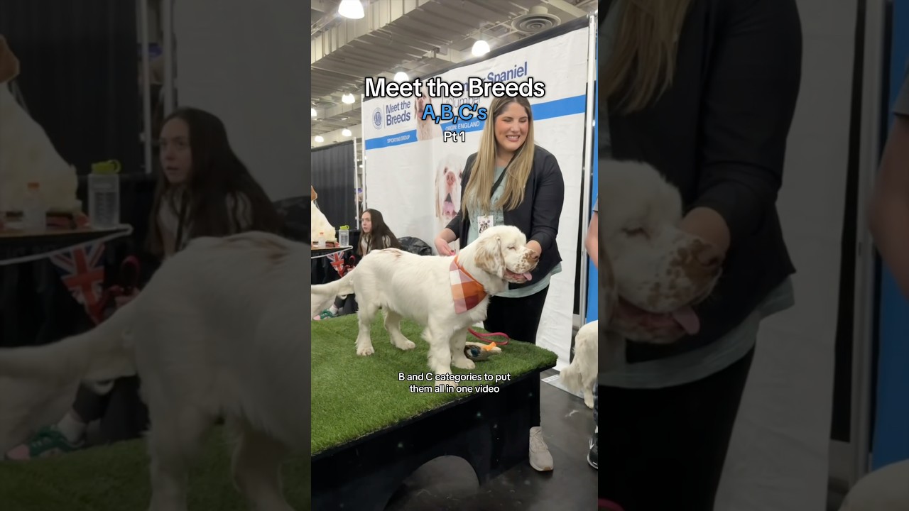 Part 1 - Meet The Breeds (A breeds) #Dog #Dogs