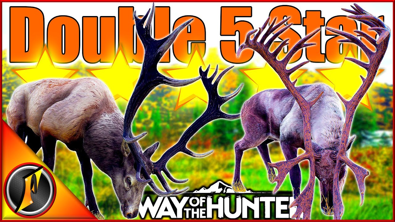 DOUBLE 5 STAR on Aurora Shores! + Watching Our Melanistic Moose Age to Mature!