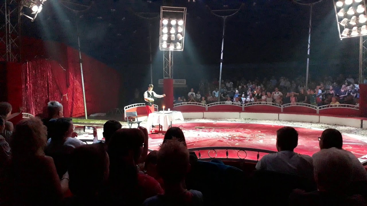 Circus freiwald 2019