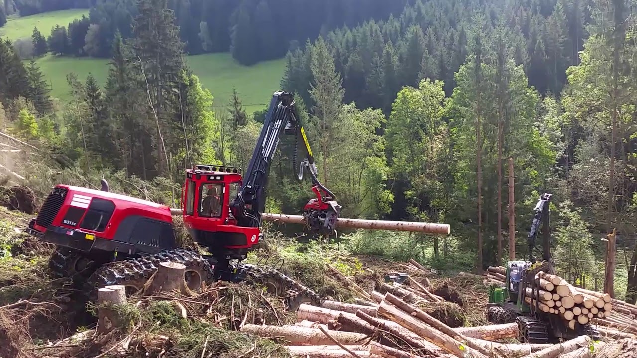 BEST OF LOGGING 2018