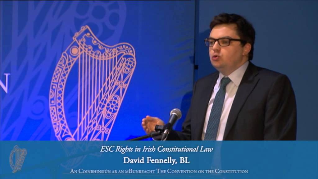 ESC Rights in Irish Constitutional: David Fennelly BL