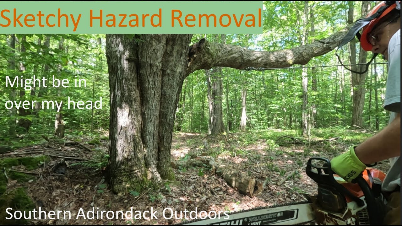 Hazardous Tree, Sketchy Chainsaw Work #adirondacks #stihl #husqvarna #kubota