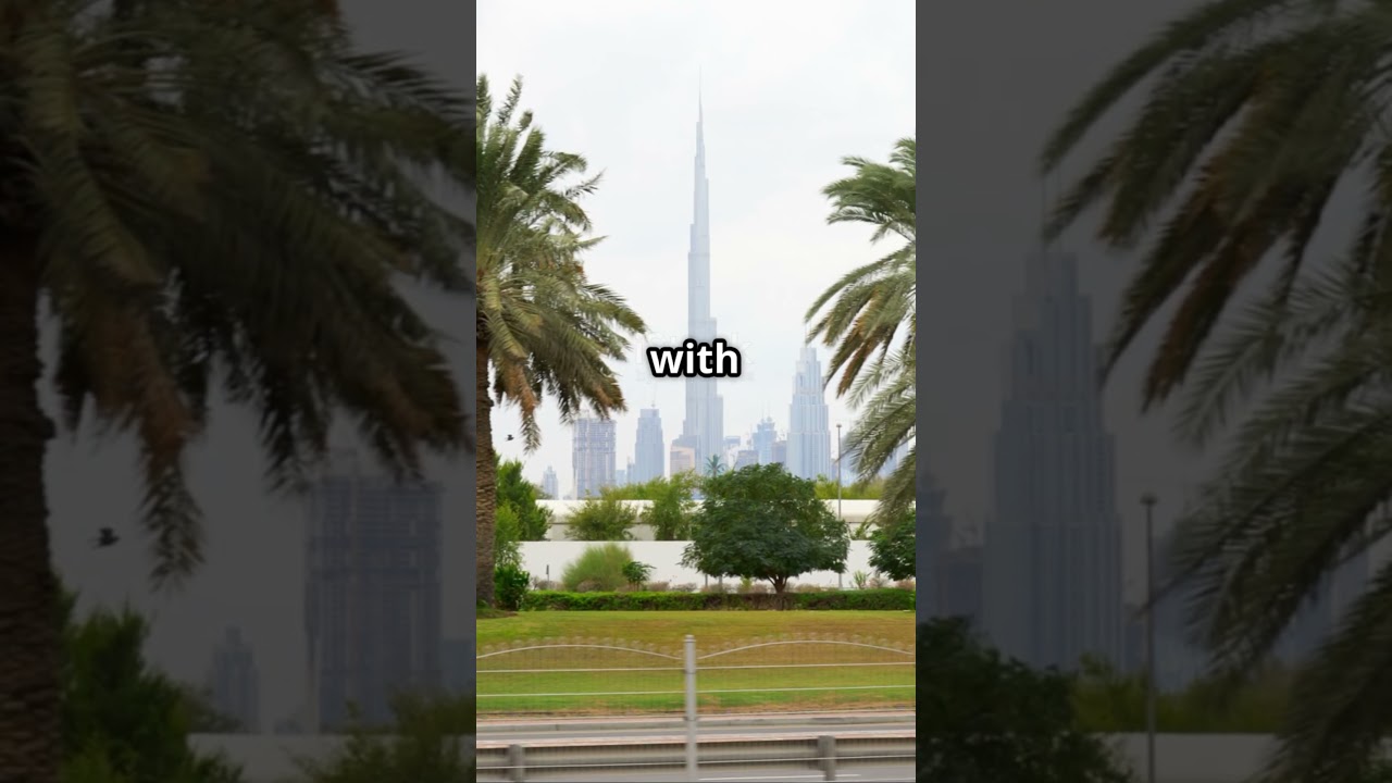The tallest buildings in the UAE 2024   #top10 #facts #tallestbuilding #tower  #uae #burjkhalifa