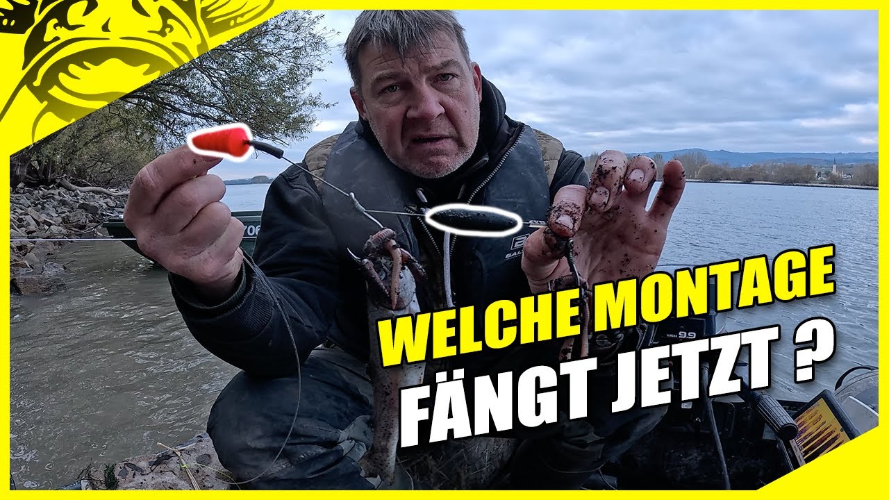WINTER WALLER so f&auml;ngst du sie !! | Welsangeln am Rhein mit U-Pose | Welsangeln im Winter am Fluss