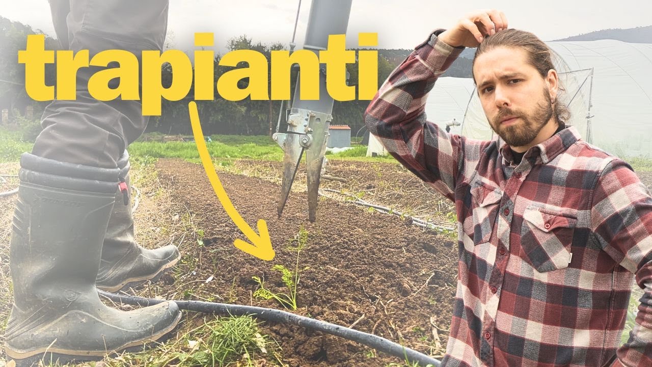 Orto a Marzo: Trapianti, Terreno e Tempo Avverso!