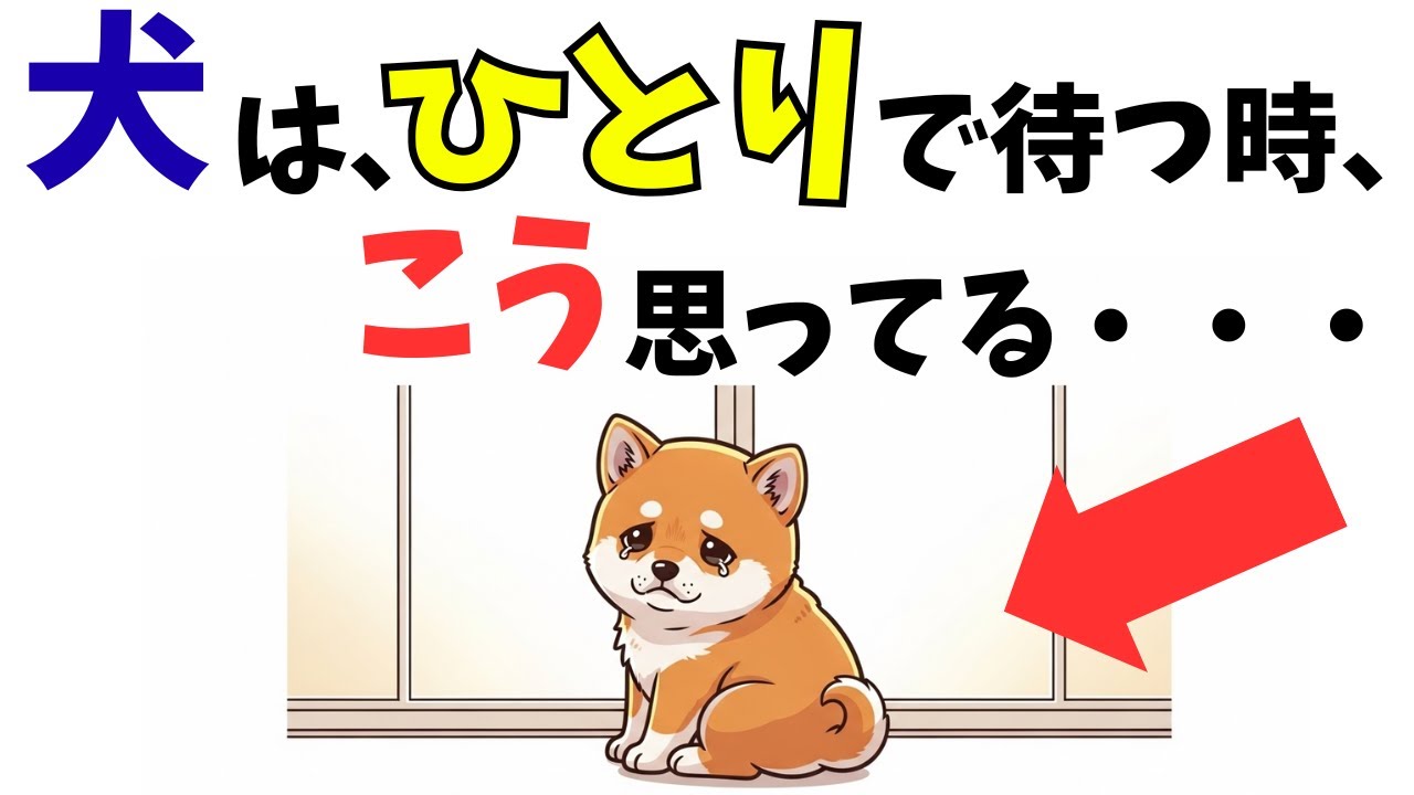 【知らないと後悔】留守番中、犬はこんな気持ちであなたを待っている