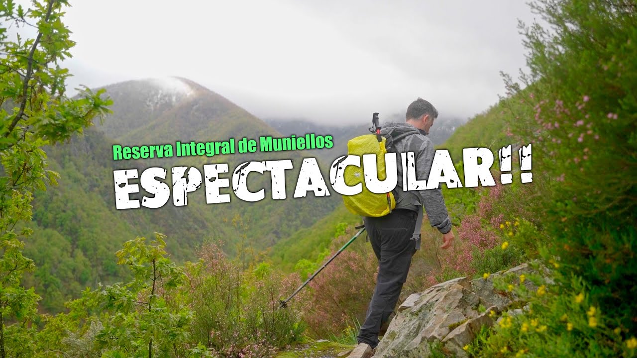 Visitamos la Reserva Natural Integral de Muniellos (Asturias)
