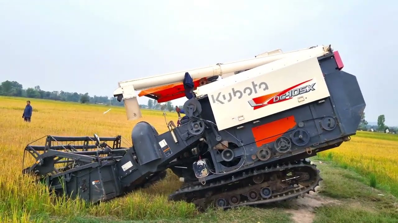 KUBOTA DC105X Rice Harvest 2026  Farming Machine at Work