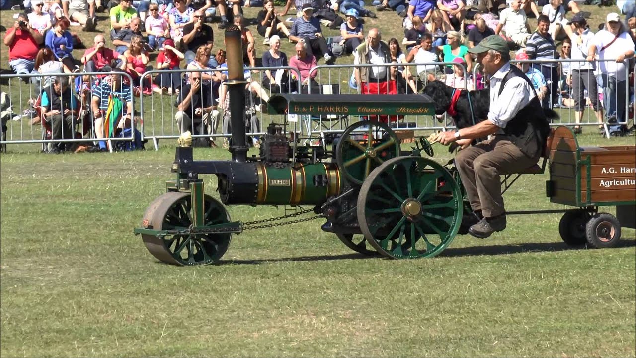 Lincoln Steam Rally 2013 - Miniatures Part One