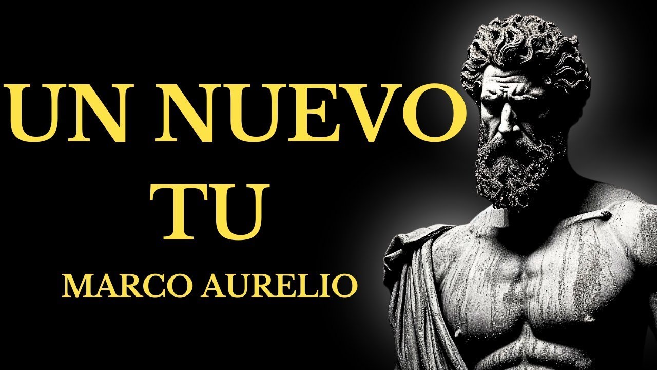 9 principios estoicos para una transformación de vida inmediata ESTOICISMO