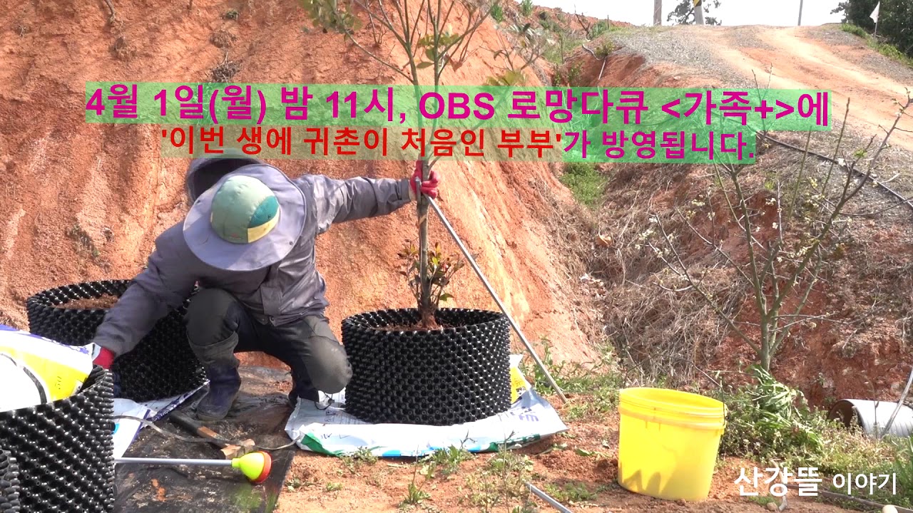 거친 바람 속에 나무를 심다 [산강뜰이야기]