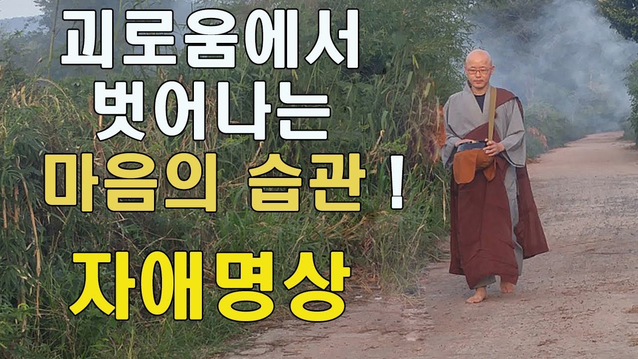 5강-1 명상하는 방법: 괴로움에서 벗어나는 마음의 습관, 자애명상 / 2기불교명상입문과정/ 혜안스님