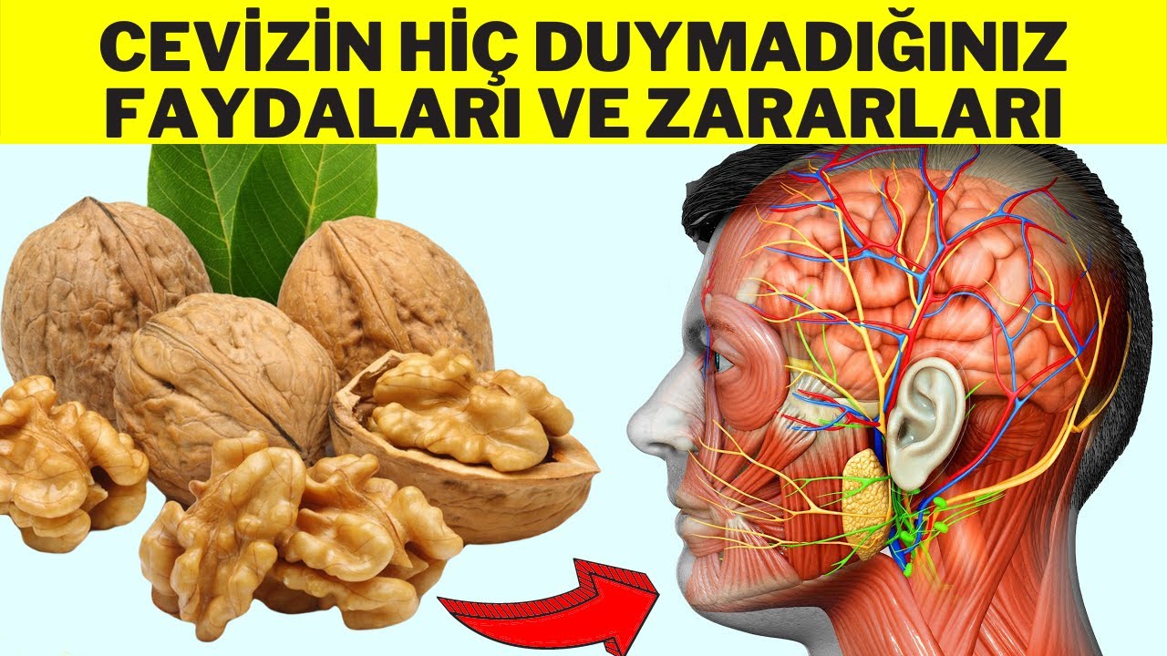 CEVİZİN Hİ&Ccedil; DUYMADIĞINIZ FAYDALARI (Cevizin Faydaları - Cevizin Zararları - Cevizin Vitaminleri)