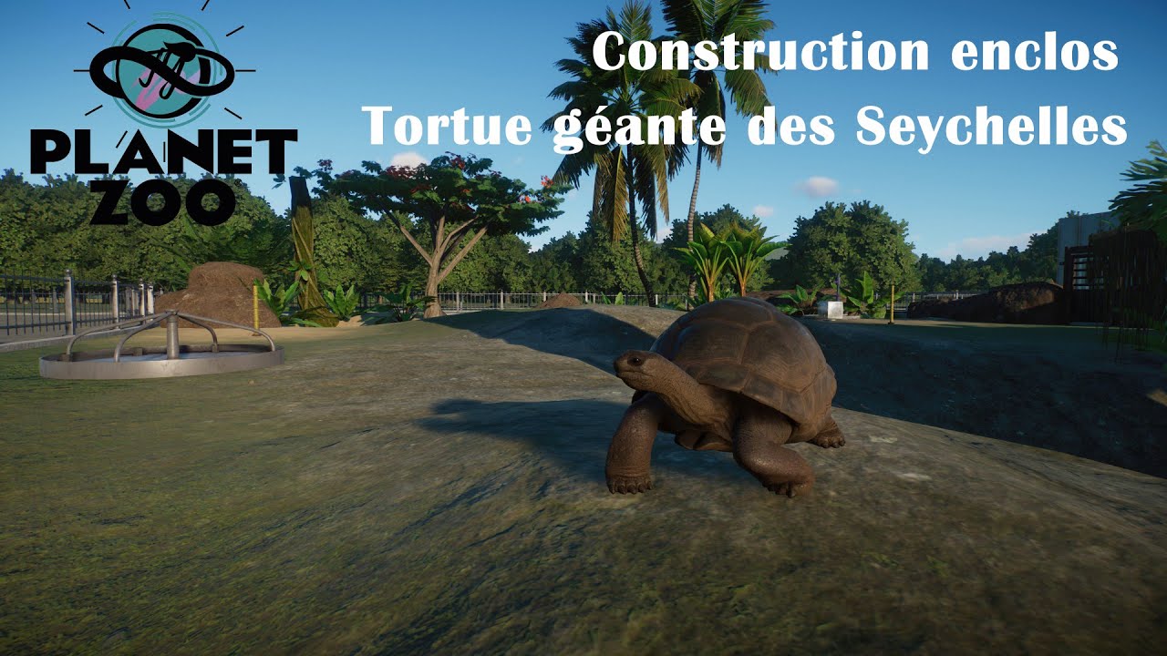 Planet Zoo: enclos Tortue géante des Seychelles/Aldabra Giant Tortoise
