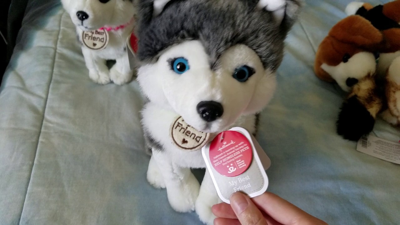 Sully's Anniversary Haul