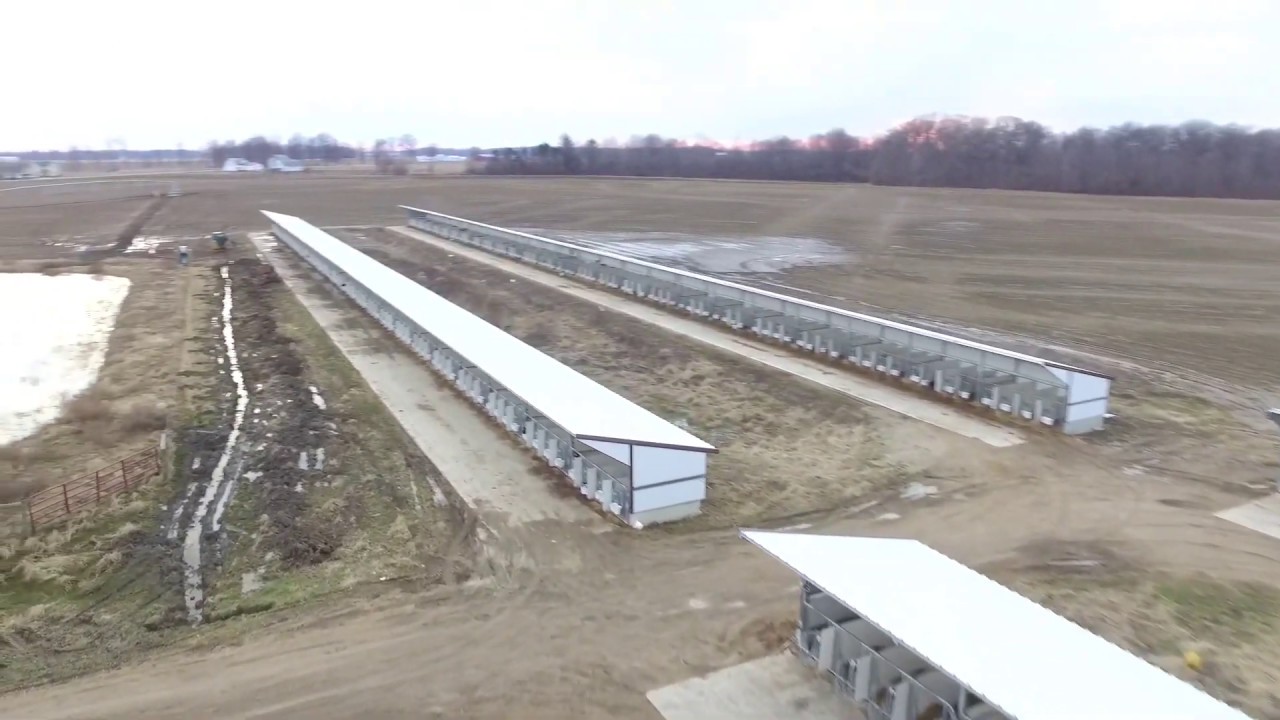 Rediger Farms Calf Barns Flyover