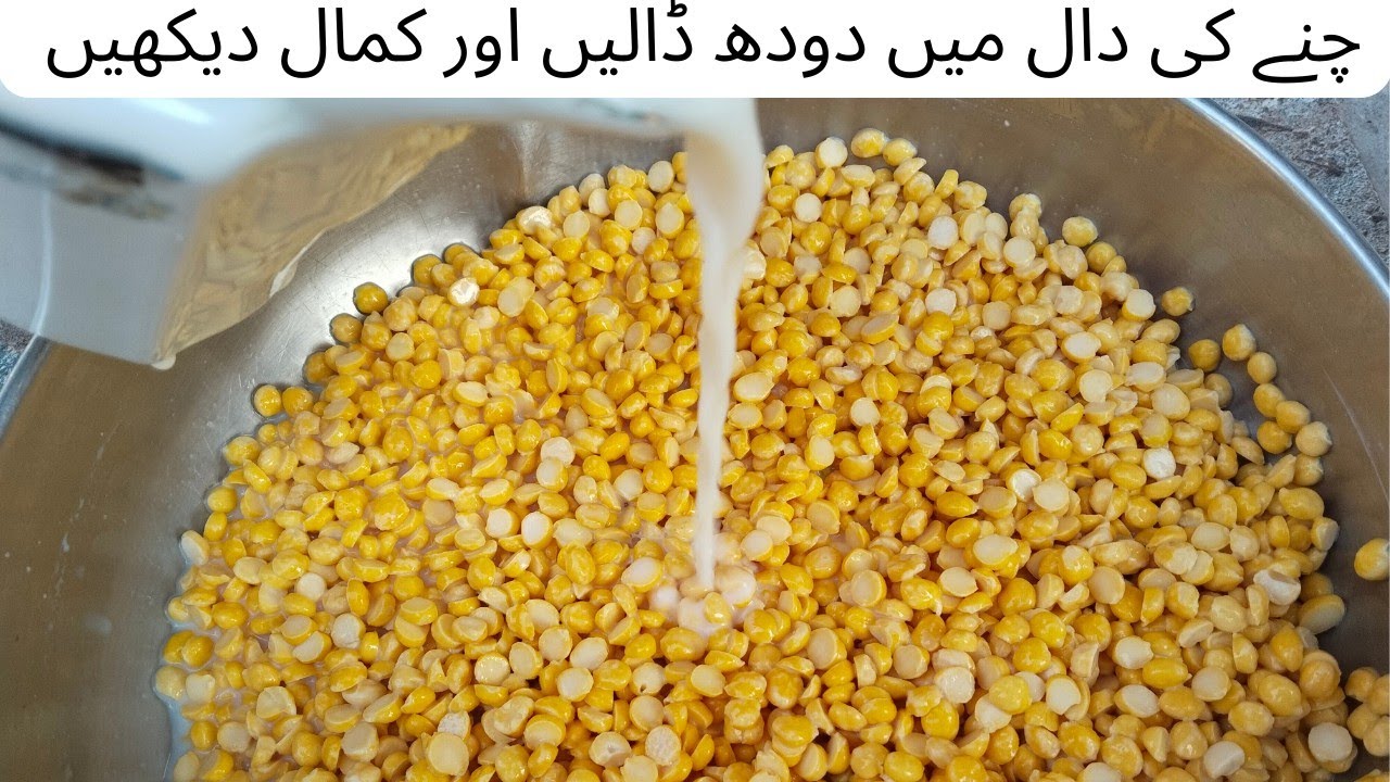 چنے کی دال میں دودھ ڈالیں اور کمال دیکھیں| سردیوں میں یہ طاقت کا خزانہ ضرور بنائیں| SHAZIAS KITCHEN