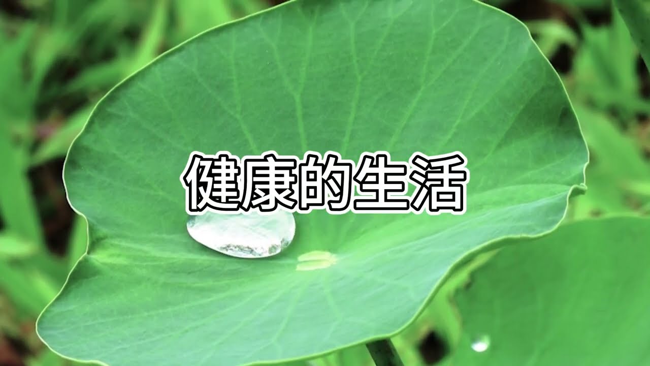 【字幕】秋冬時應該早起打坐和鍛鍊，或是晚起養生，還是該兼顧兩方面？| 阿贊耀答問 2025-11-22 （廣東話）