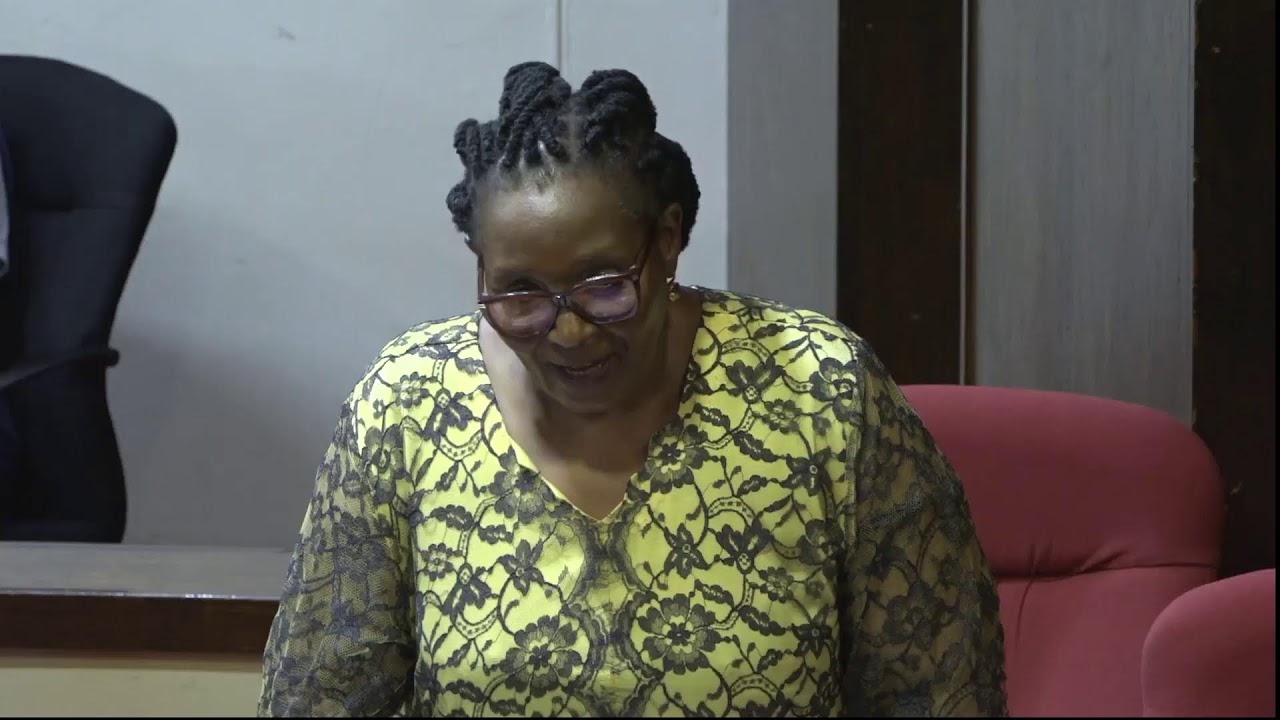 House of Assembly: Portfolio Committee(s) - Deputy Prime Minister's Office