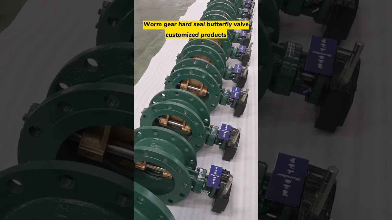 The customized worm gear hard seal butterfly valve is completed!