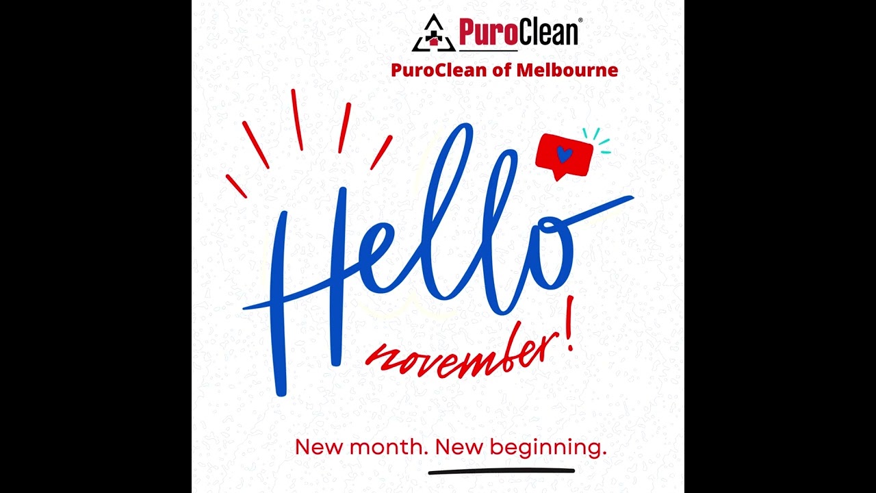 Hello November, New Month. New beginning.