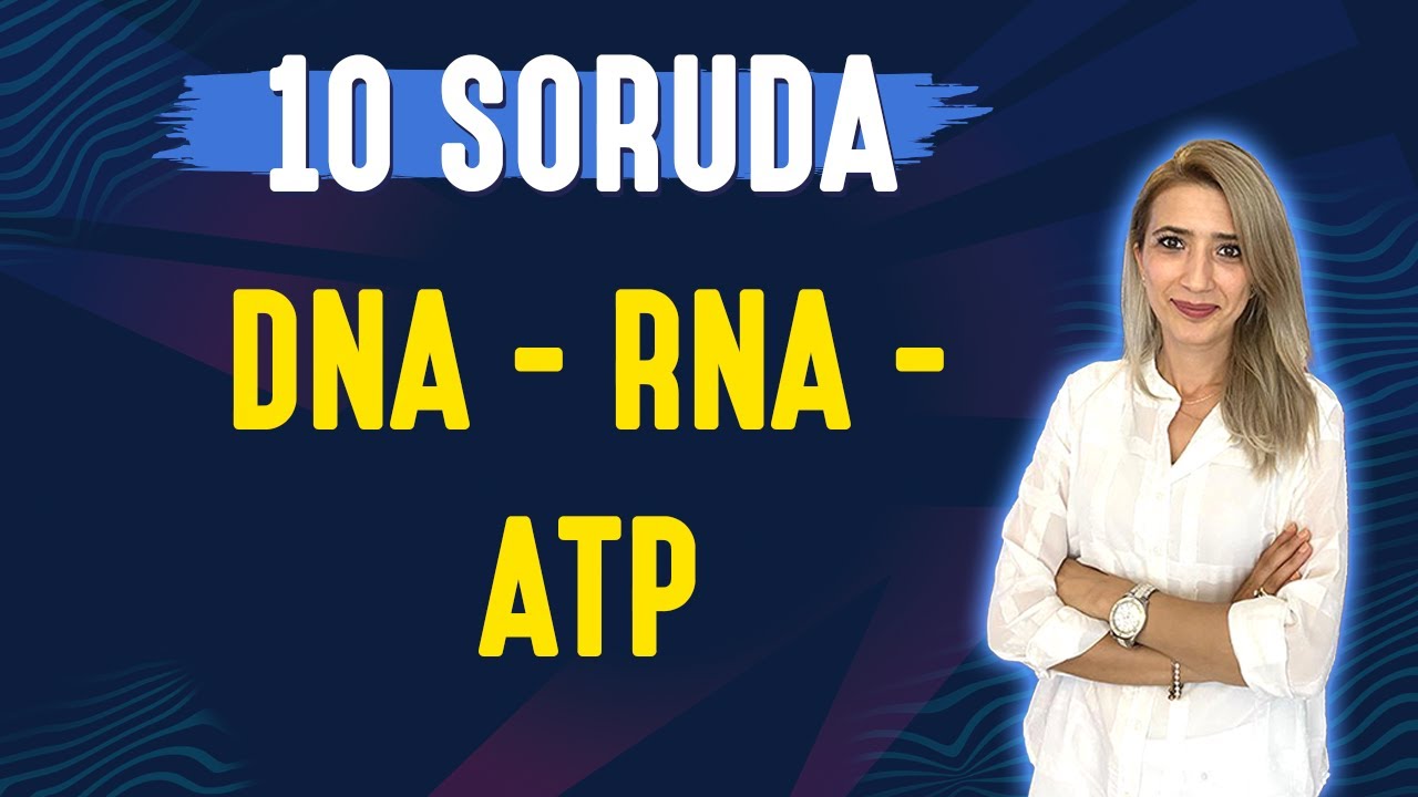 📌10 SORUDA l DNA - RNA - ATP | TYT 9.SINIF l Seda Hoca Biyoloji 🤗