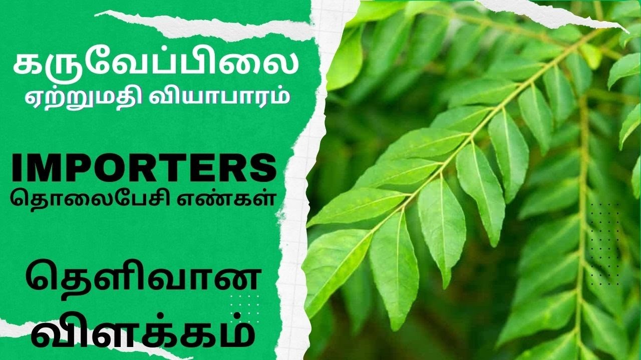 கருவேப்பிலை ஏற்றுமதி வியாபாரம் | Curry Leaves Exports Business | Exports to Dubai | Importer Numbers