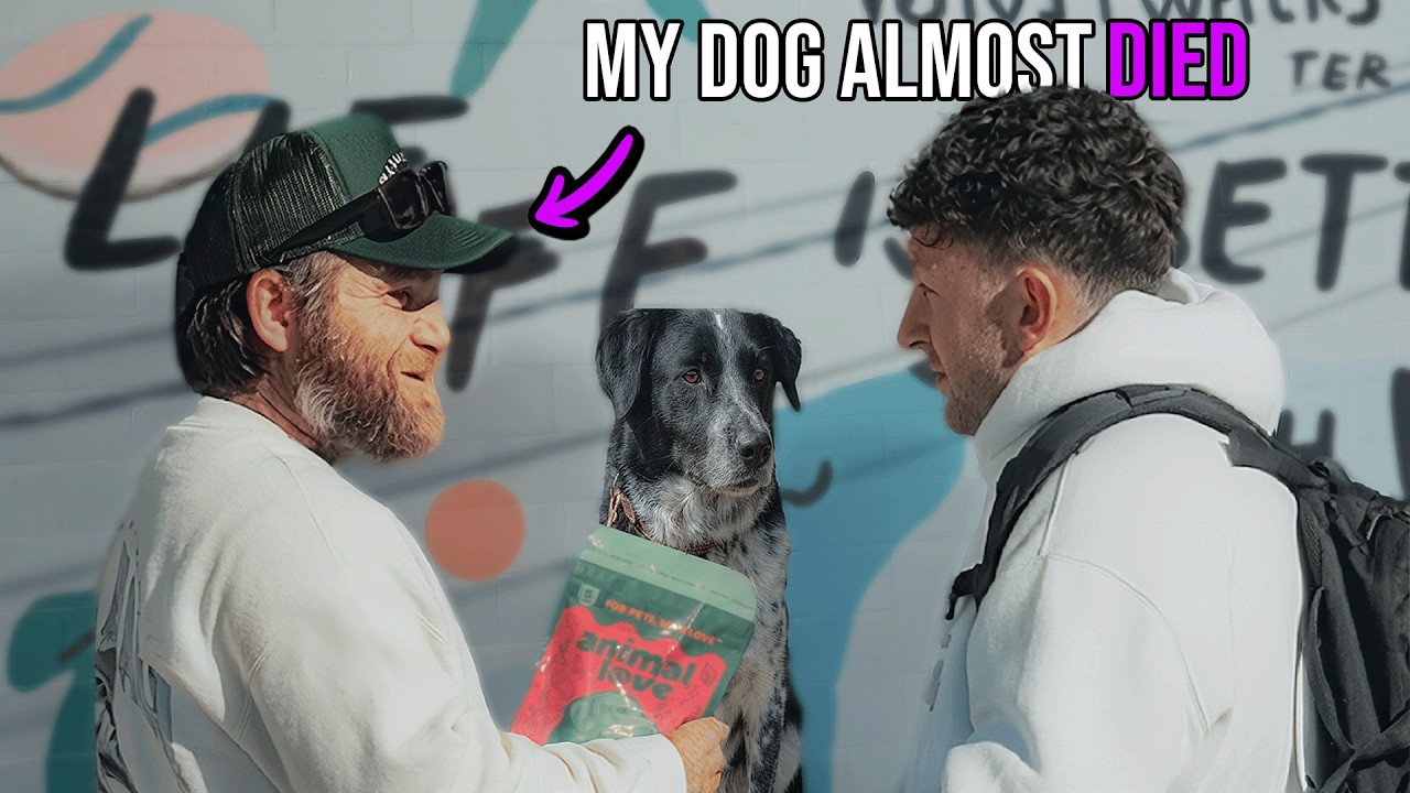 Surprising Shelter That Rescued 1500 Dogs From Death Row with $50,000