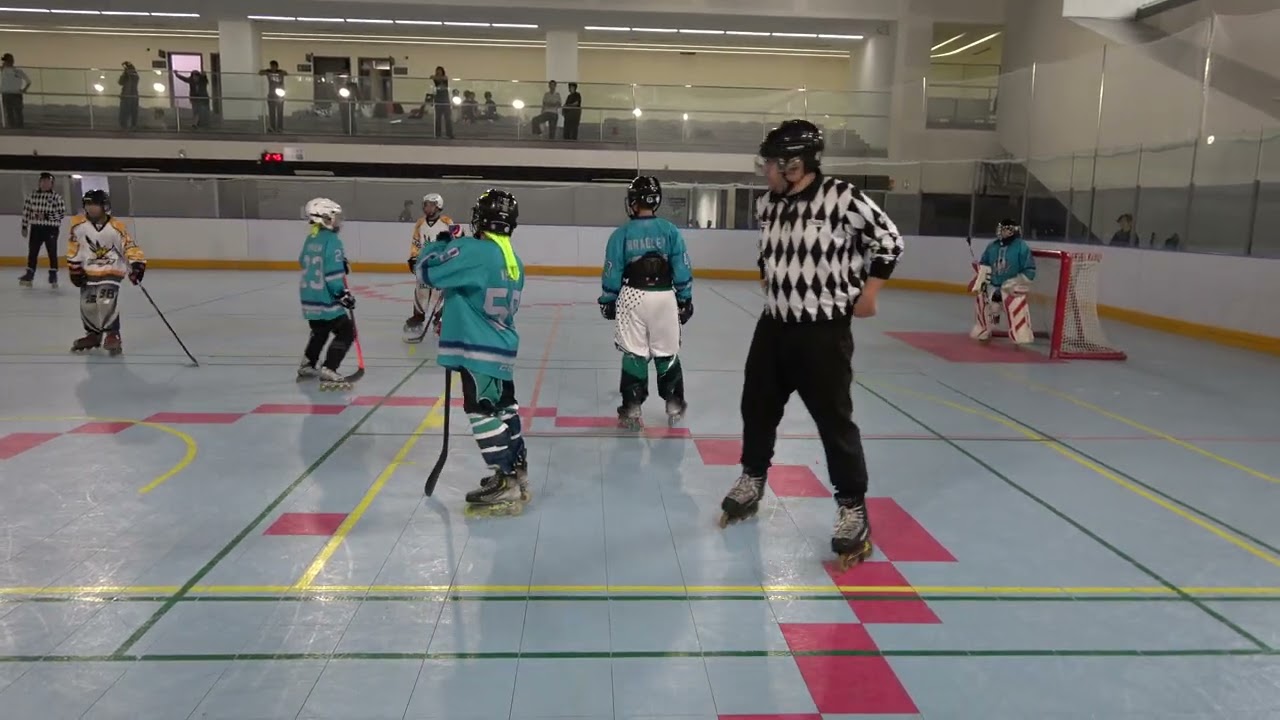 2026 03 01 52屆假日盃曲棍球預賽小高 黃蜂vs海豹