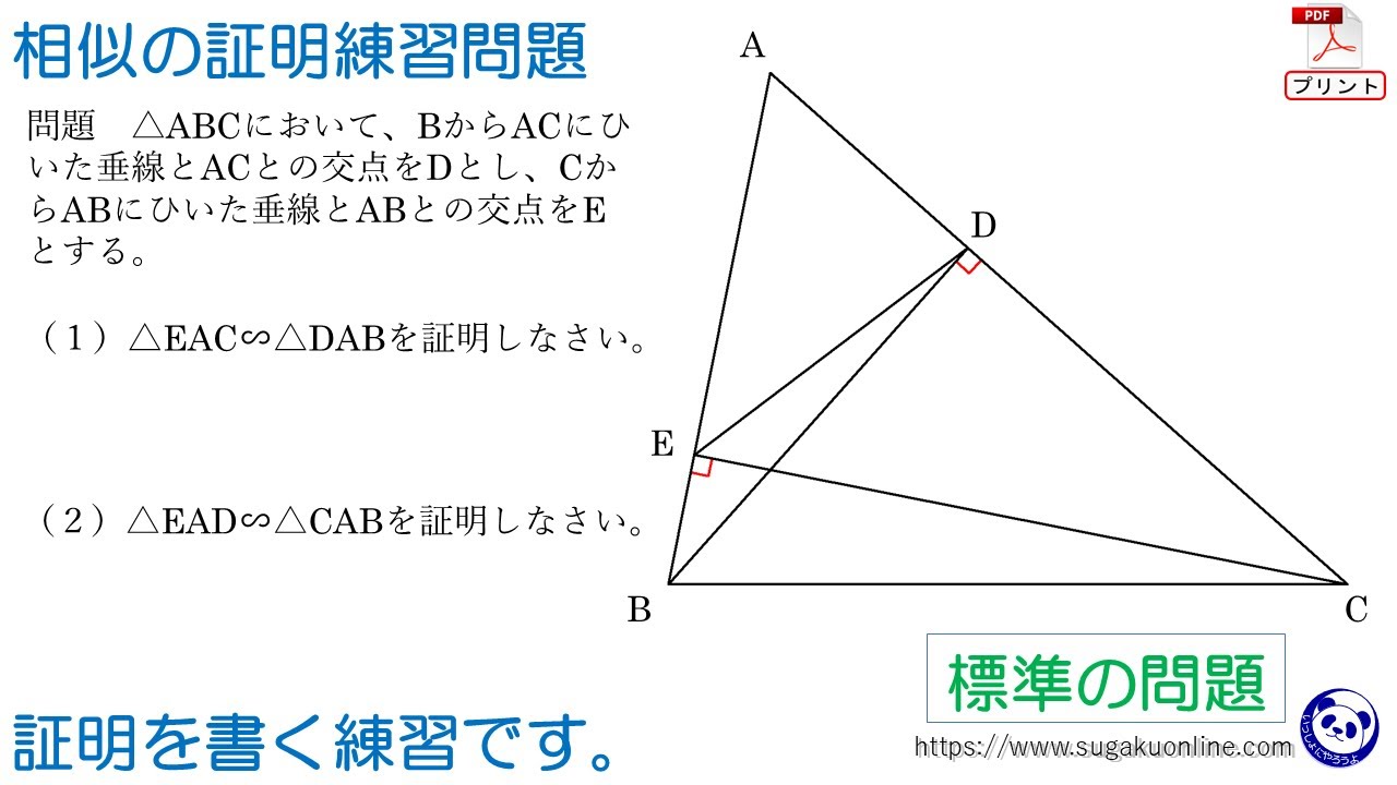 【中学３年数学/相似】相似の証明の基本練習問題　～みんなができるようになるパンダと数学～