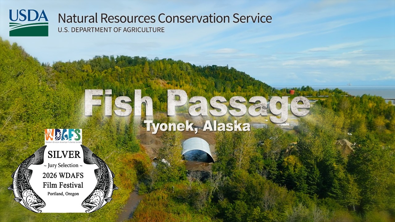 Improving Fish Passage in Tyonek, Alaska