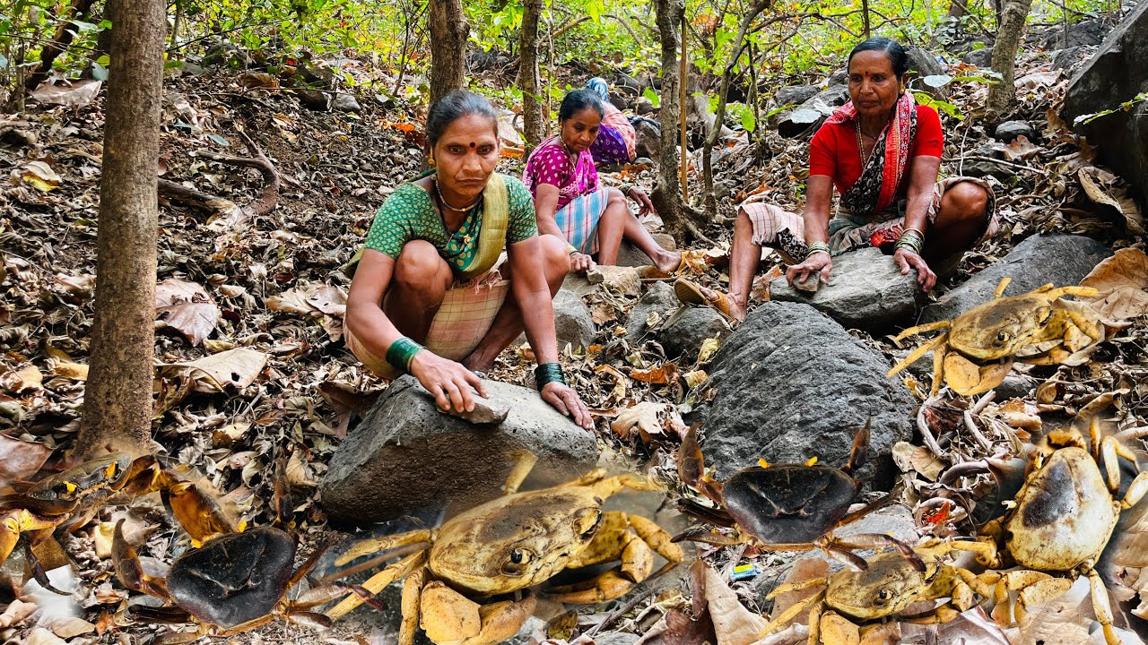 डोंगरावर भरडून म्हणजेच दगडा वरती दगड घासून खेकडे पकडण्याची पद्धत 🦀|Crab Catching Kokan 🦀