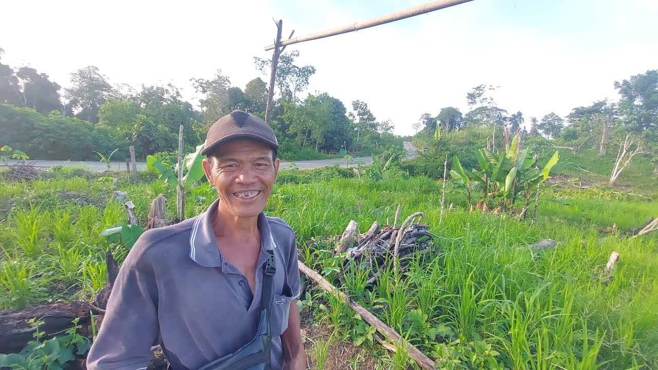 KENAPA LAHAN SEBAGUS INI DIJUAL MURAH OLEH BAPAK ANA?