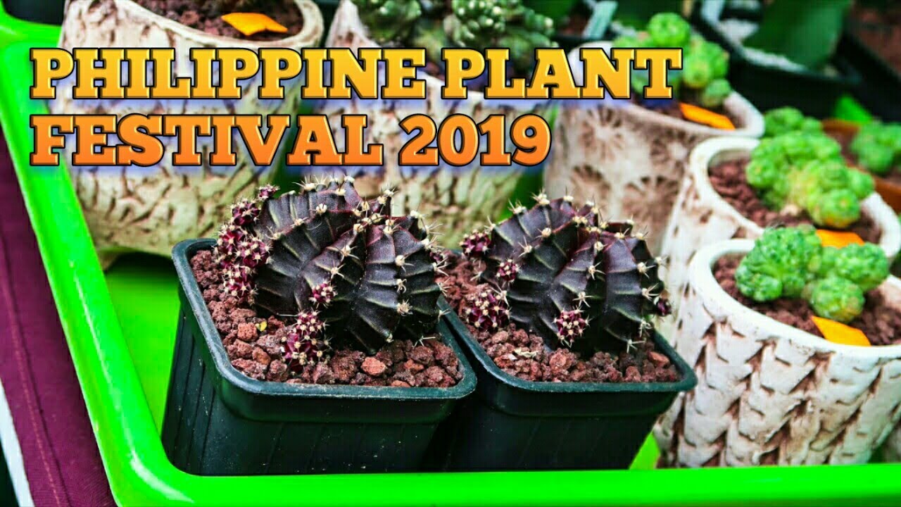 Philippine Plant Festival 2019 | HungreeCatt Travels