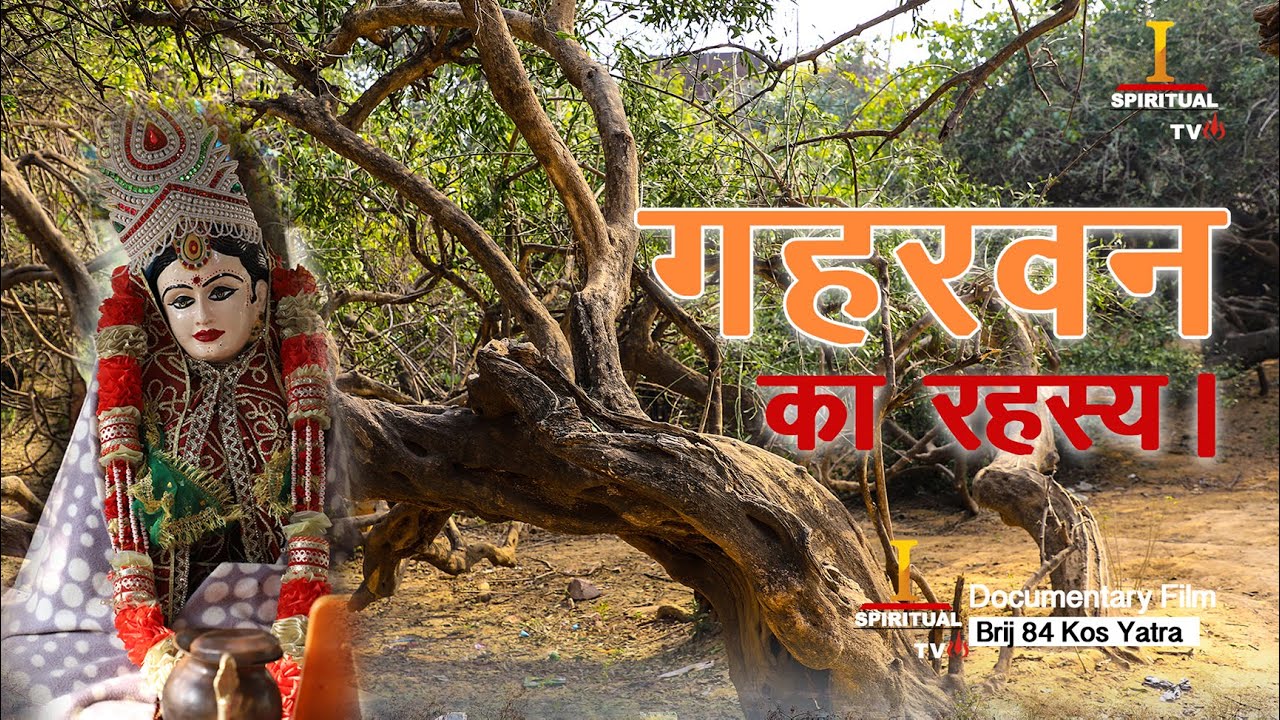 गहवर वन का दिव्य दर्शन। Beauty of Gahvar Van Barsana #chaurasikos
