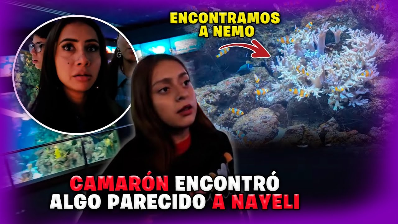 Seguimos en el recorrido del Aquàrium Barcelona 🇪🇸 | Encontramos a NEMO | Que cosas feas hay aquí