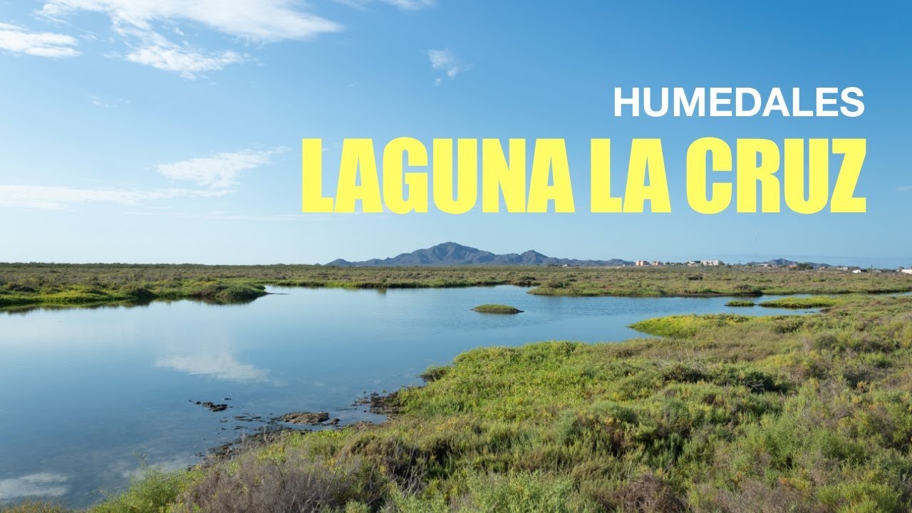 Humedales Laguna La Cruz, Día de los Humedales