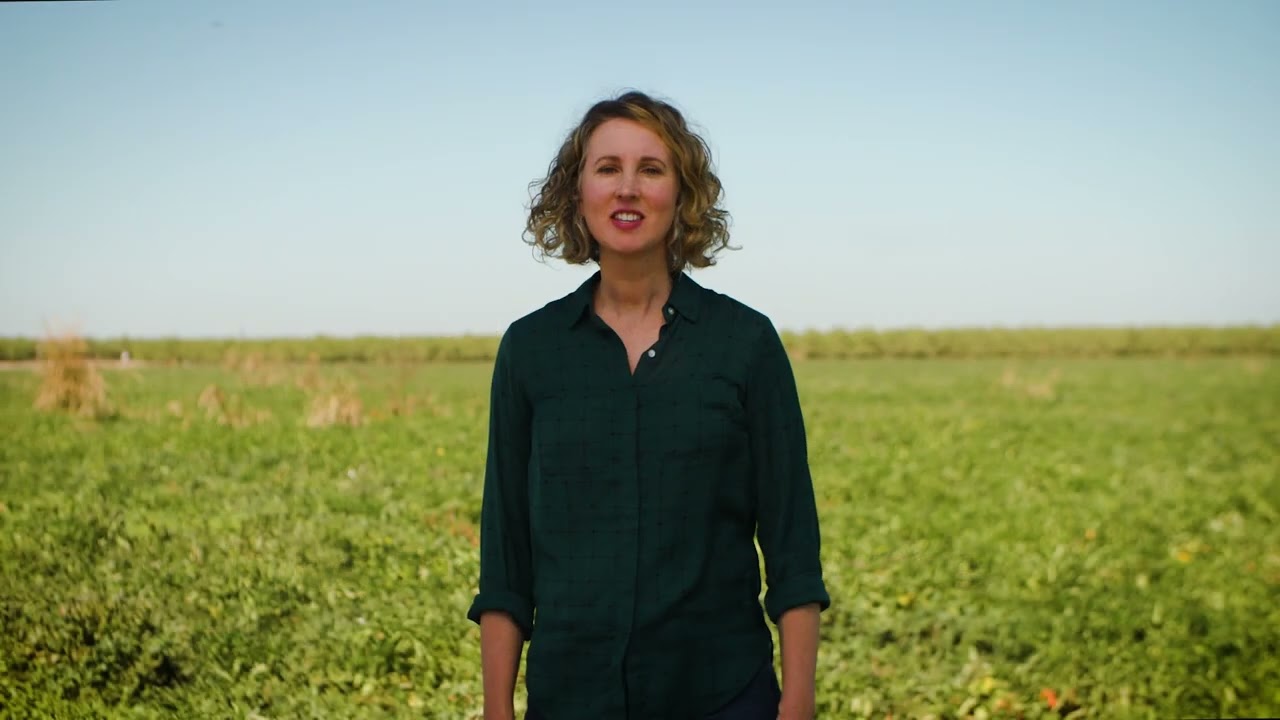 4Rs Tomato Nitrogen Management (English)