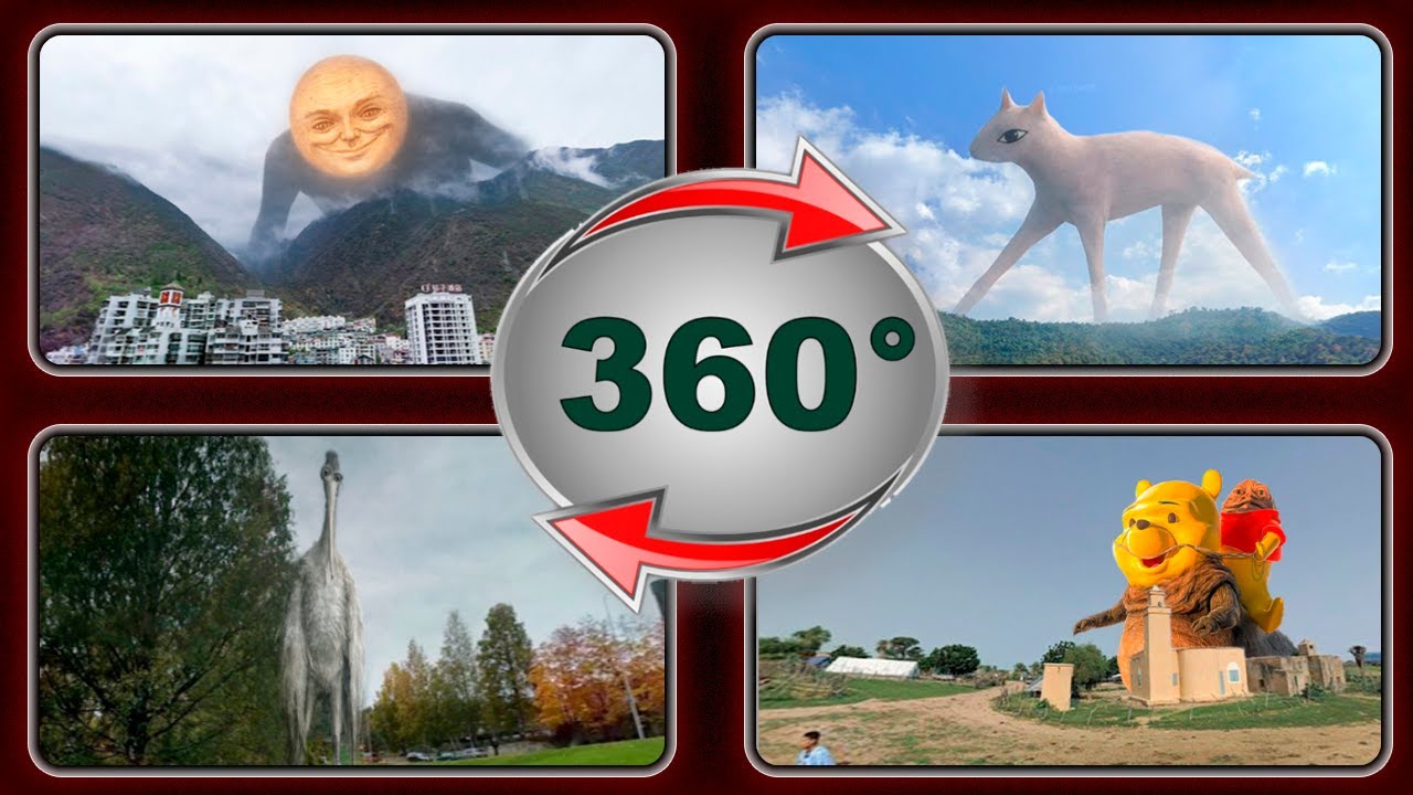 VR 360: Top 5 Most Unusual Creatures on Planet Earth.