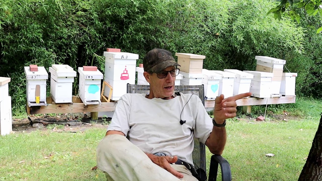 How to Get Your Bees to Draw Comb
