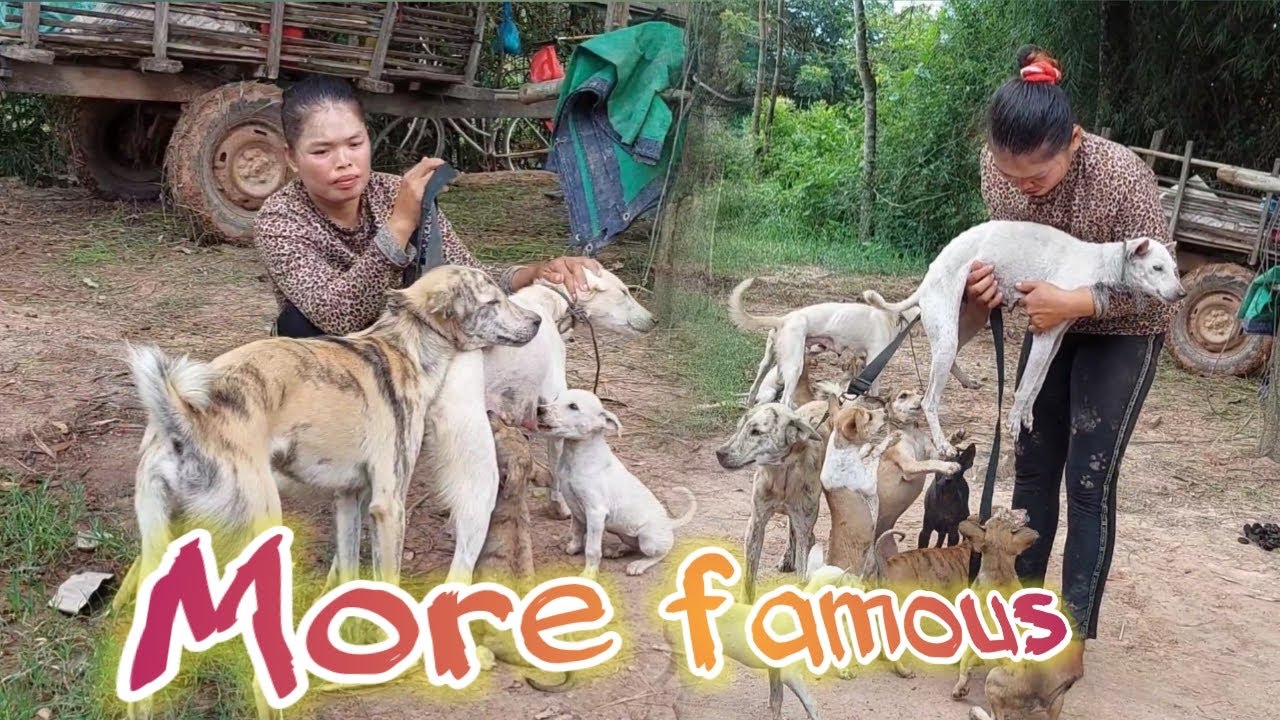 Breeding dogs because of this one thing