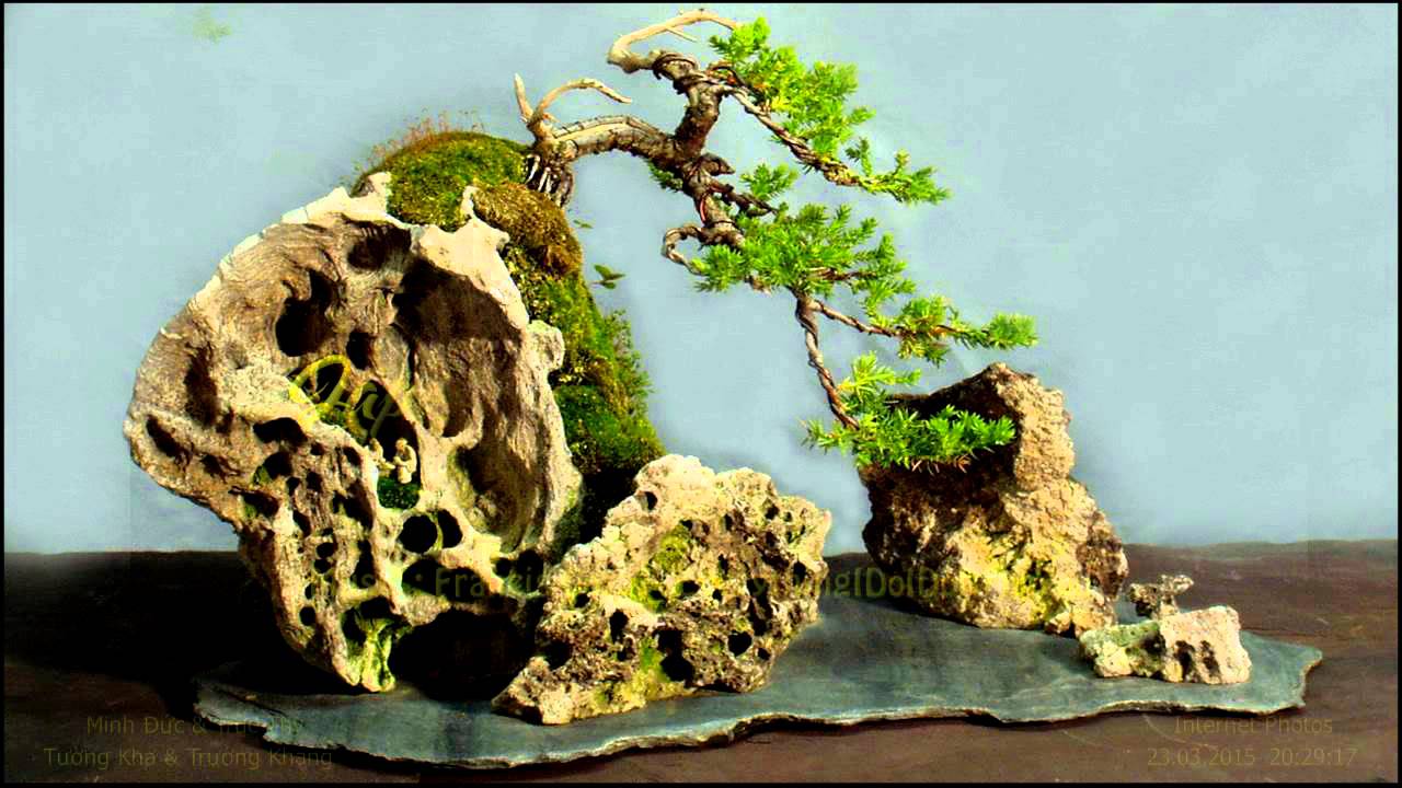 Japanese Bonsai Garden III