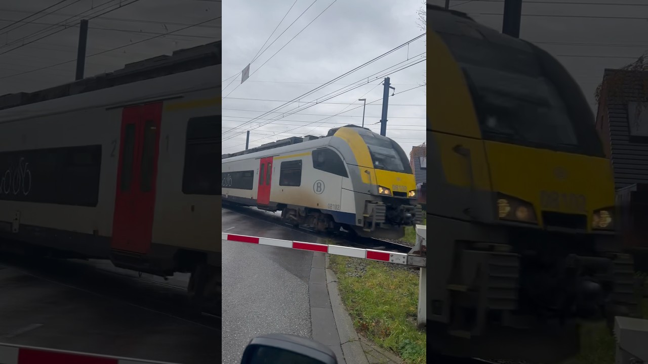 Rail crossing NMBS Train From Sint-Niklaas to Mechelen Belgium #railcrossing #trainspotting #viral