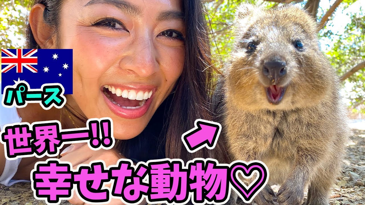 【悶絶級】ピカチューのモデル!!常に笑顔の